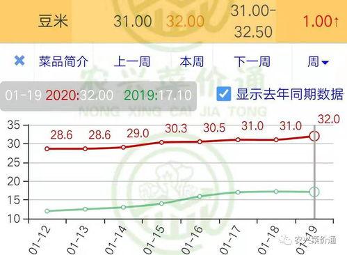 日本梅陇瓜今日价格走势,今日走势解析