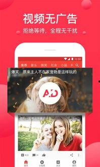 吃瓜视频爆料搞笑文案,揭秘搞笑文案背后的爆笑故事