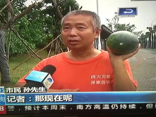 在线吃瓜热门事件,揭秘近期吃瓜热门事件背后的真相