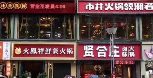 廊坊明星网红店在哪