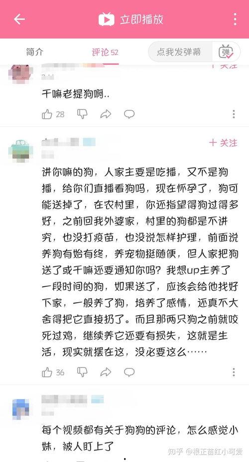 瓜妹推荐的热门西瓜视频,热门西瓜视频盘点，夏日消暑必备