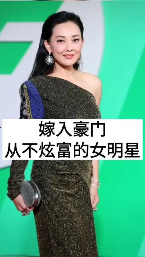 明星网红嫁入豪门小说,明星网红的华丽转身