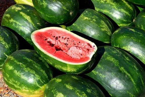 辽源吃瓜爆料视频大全,揭秘当地热点事件