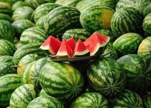西安热门景点吃瓜事件,揭秘背后的美食风云