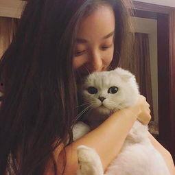 明星网红猫唱歌视频,萌态歌声征服网友