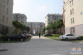 亦庄明星网红小区,繁华都市中的璀璨明珠，揭秘网红生活圈”