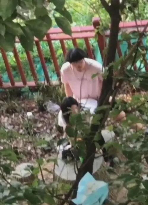 热门大瓜情侣,甜蜜瞬间与分手传闻