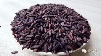 黑米与老瓜能一起吃吗,能否同食揭秘