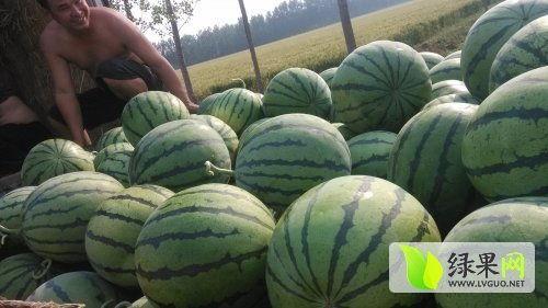 永年最新吃瓜热门事件,最新吃瓜事件揭秘，真相令人咋舌！