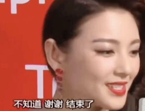 采访名场面明星网红,揭秘他们的成名之路