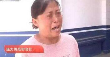偷瓜事件热门,一场引发热议的邻里纠纷