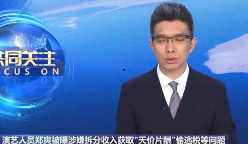 新闻明星网红个人纳税,揭秘个人纳税背后的故事
