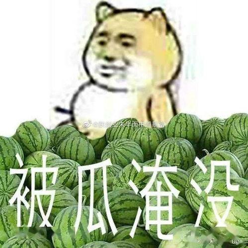 吃瓜黑料在线吃瓜,吃瓜黑料在线狂欢